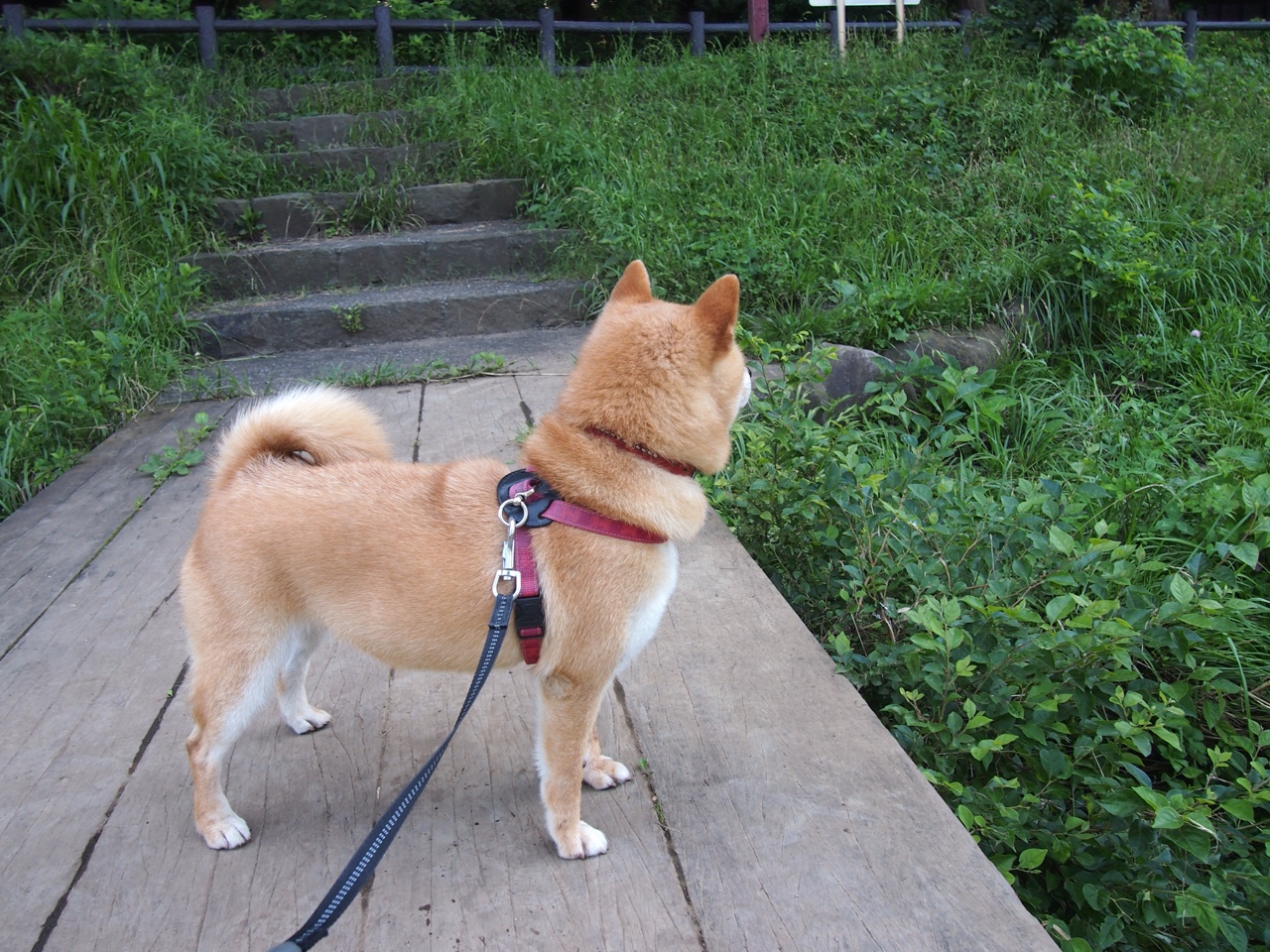 _新赛季展望:选手目标与期待热度升高_,新赛季rw队员