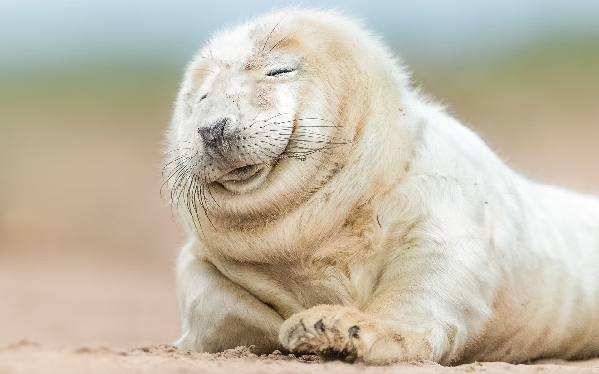 【国际赛事】代表队在世界棒球锦标赛中的表现，世界棒球协会