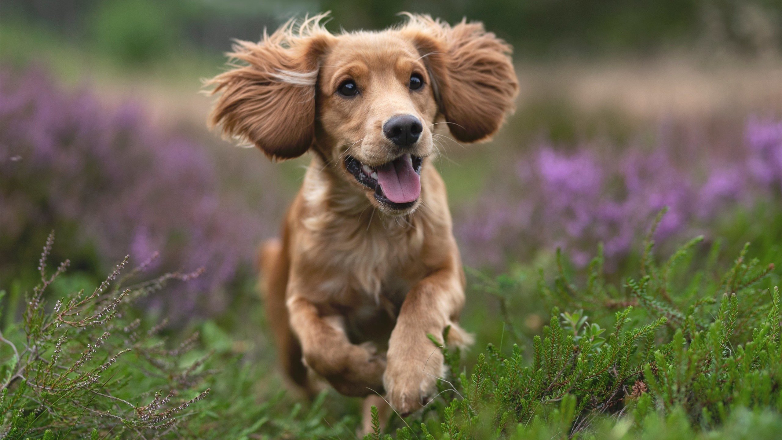青训体系不断完善，职业青训机构数量持续增长，职业青训有工资吗
