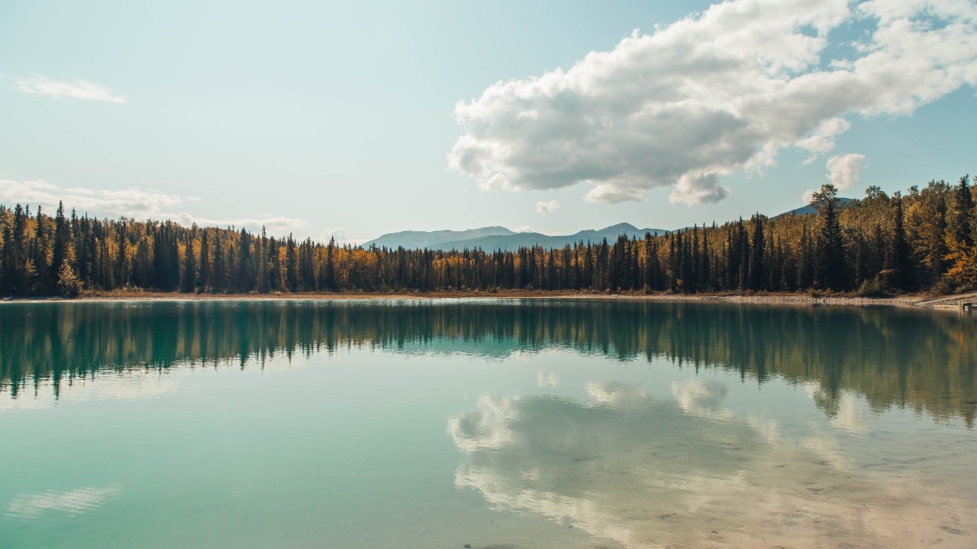 EDG战队训练营全力备战，edg训练室