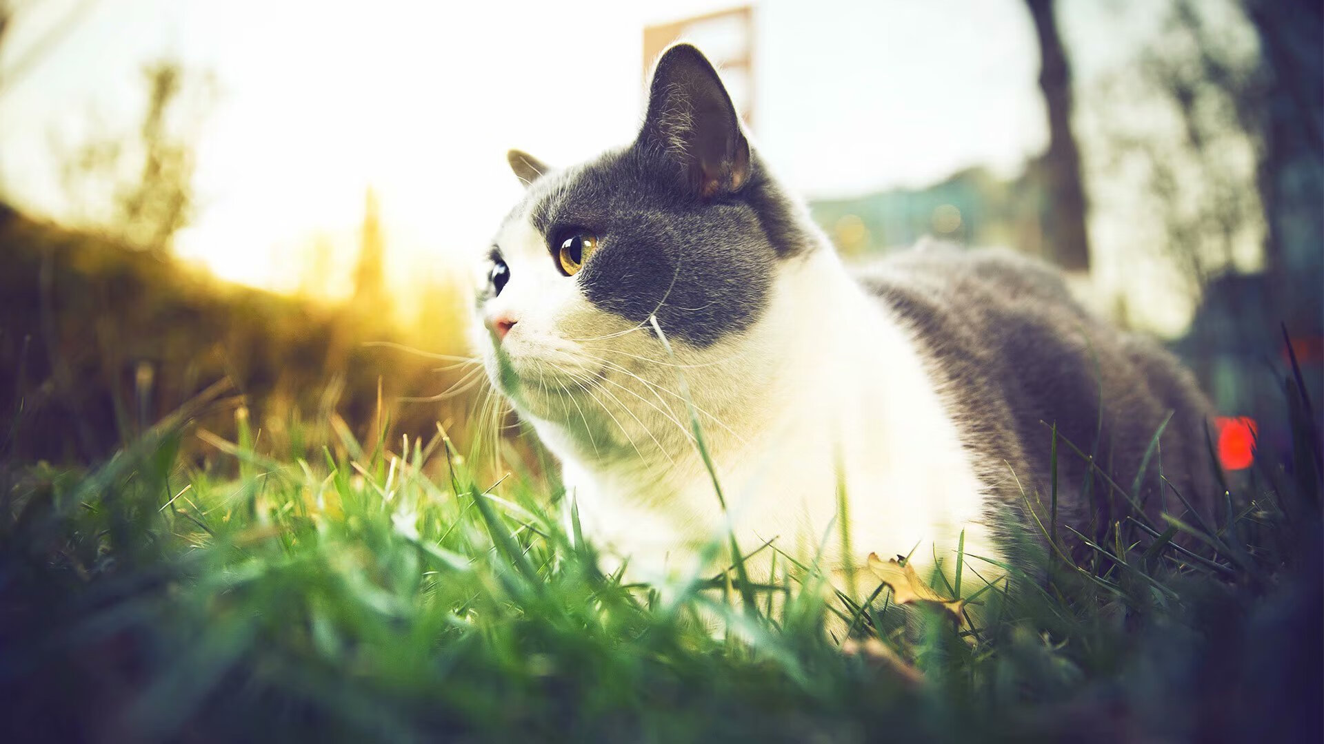 中国队包揽射击世界杯前三,中国射击世界冠军