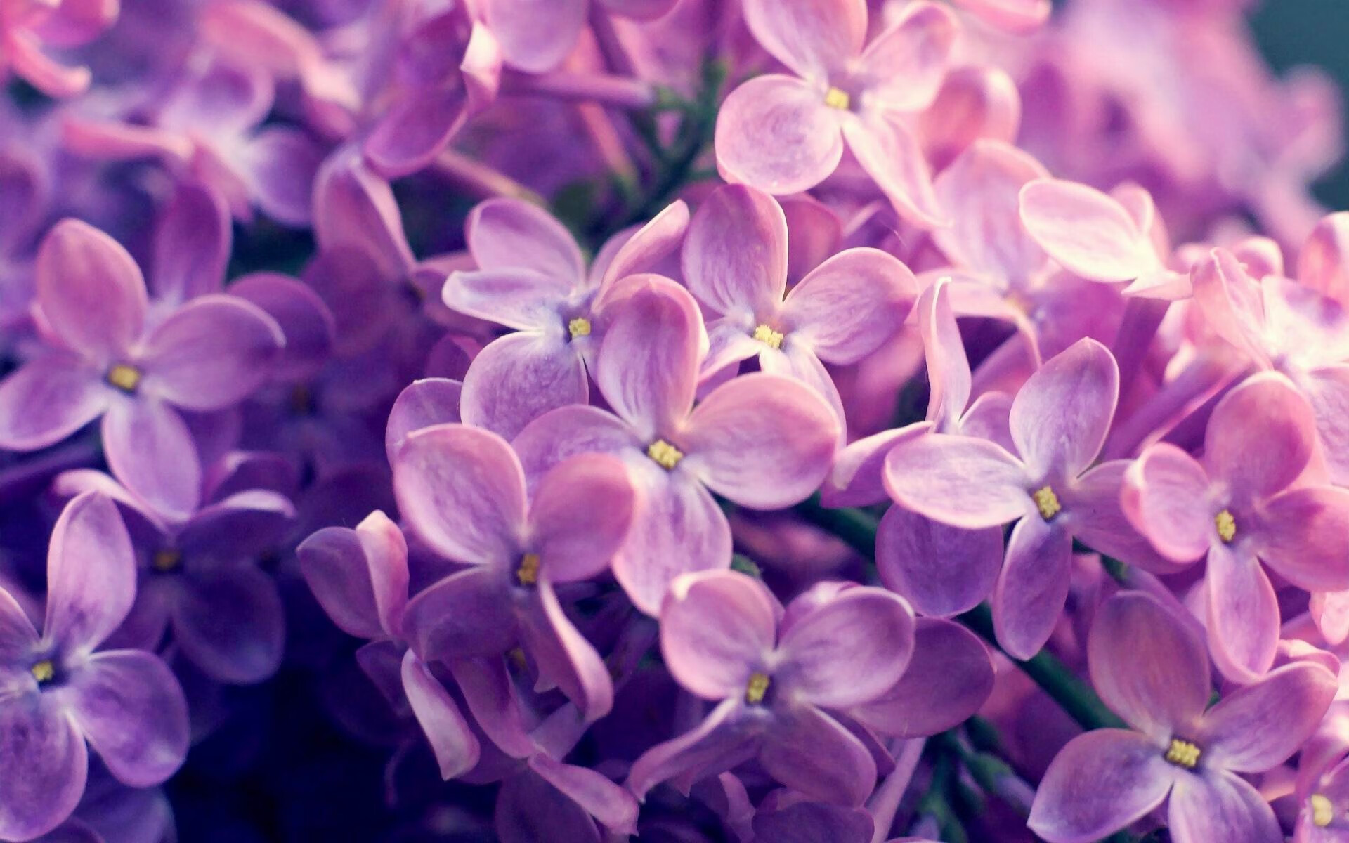 塞维利亚主场3-0大胜皇家社会，进攻火力全开，塞维利亚 vs 皇家马德里