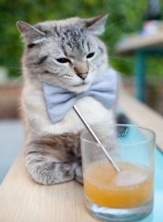 马竞主场2-0战胜赫塔费,继续领跑西甲积分榜,马竞西甲冠军预测