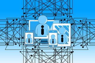 中国篮球青少年篮球发展政策评估及推广策略分析,中国青少年篮球训练指导手册