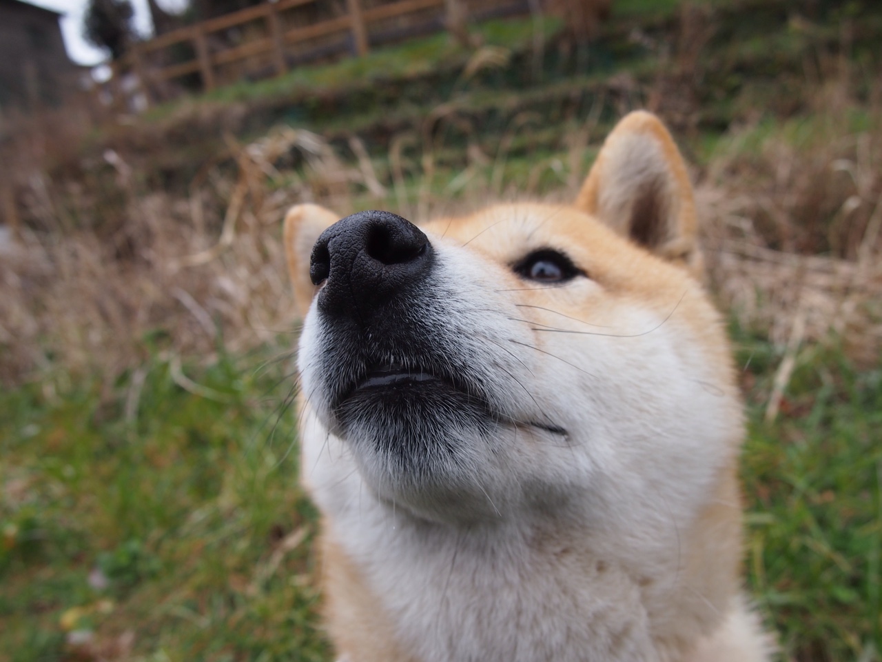 详细阅读:全国青少年攀岩挑战赛西安站圆满落幕,青少年攀岩比赛规则 全国青少年攀岩挑战赛西安站圆满落幕,青少年攀岩比赛规则