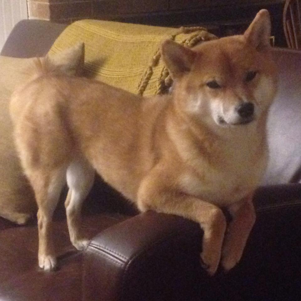 详细阅读:CBA球迷文化蓬勃发展 主场氛围火热,cba篮球文 CBA球迷文化蓬勃发展 主场氛围火热,cba篮球文