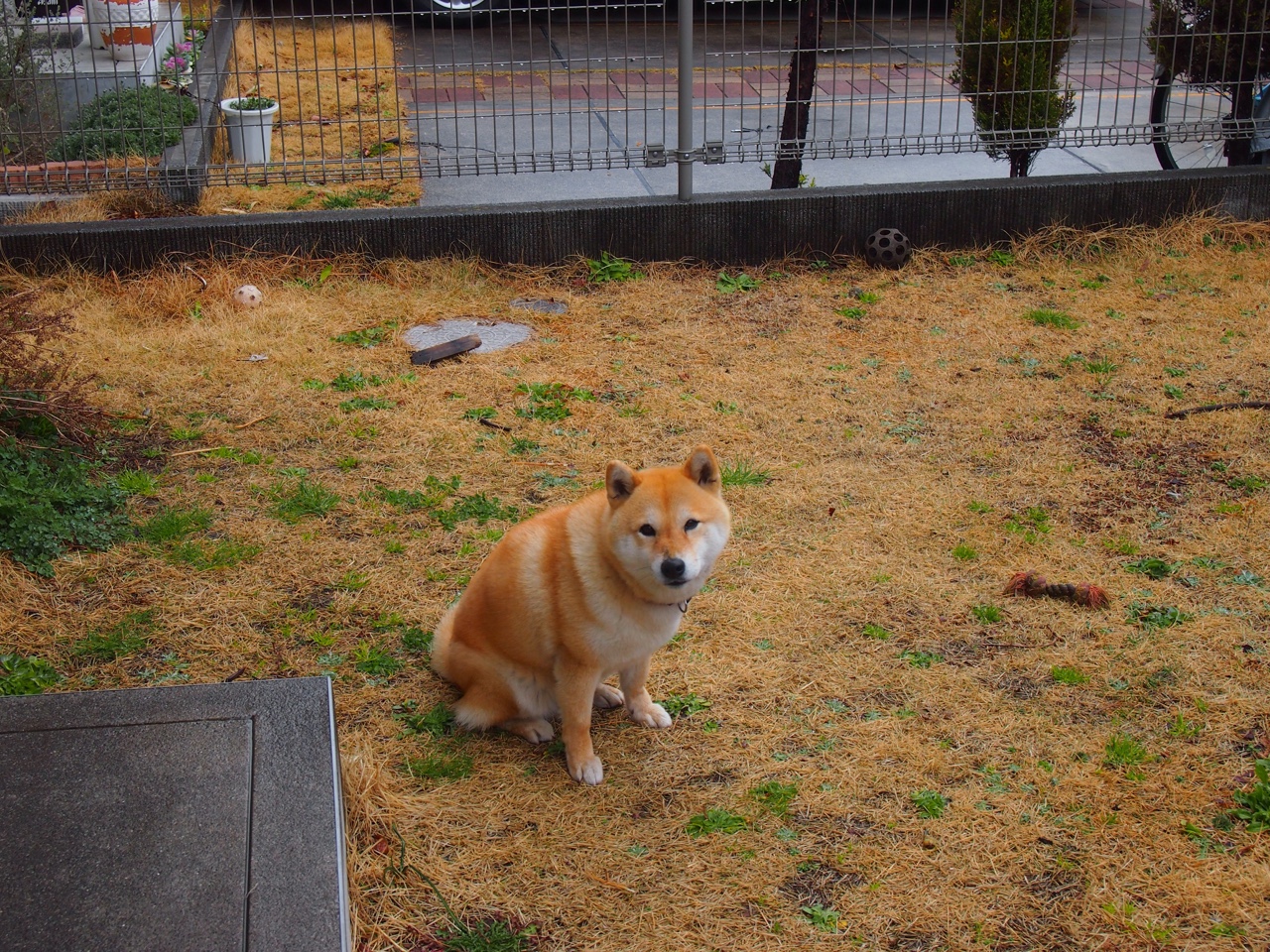 “沙滩赛场迎来高水平对决,手球与合球同台竞技”