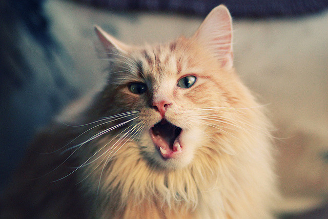 防守强硬到零容忍的球队策略盘点，球队防守效率排行榜