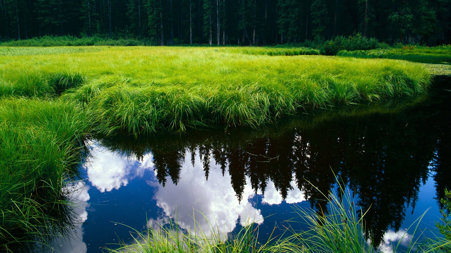 女子足球崛起 国际赛事精彩纷呈，女子足球2021