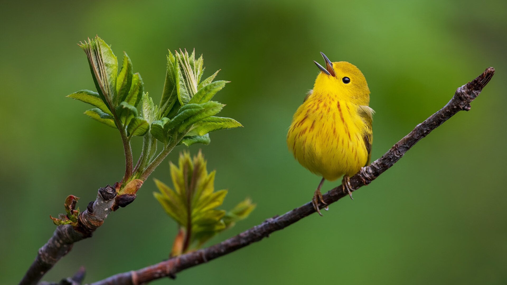足球场馆环保材料广泛应用,绿色建设成为新标杆,足球场馆运营方案